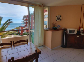 Appartement Sète, 2 pièces, 4 personnes - FR-1-472A-221
